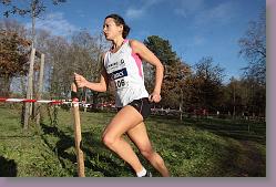 Begles 15.12.13 01 799 * 679 x 453 * (135KB)